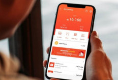 Cara Mencairkan Saldo Shopee Paylater Masuk ke Rekening Pribadi, Begini Trik Rahasianya 