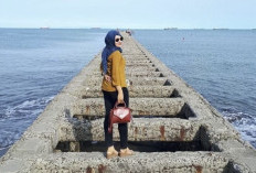 Asal Usul Nama Pantai Teluk Penyu, Ternyata Memang Banyak Penyu Berkeliaran Dengan Bebas Disini