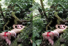 Video Pria BDSM di Air Terjun Coban Glotak Malang Viral Sosial Media, Alasan Syarat Mantan Pacar Agar Mau Balikan