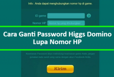 Cara Mengganti Password Akun Facebook Higgs Domino Island, Mudah dan Tentunya Aman!