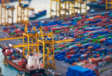 Apakah PT Perdana Transline Logistik Penipuan? Waspada Hoax! Kenali Ciri-ciri Lokernya Disini