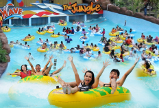 Promo The Jungle Waterpark 1-28 Februari 2023 Spesial Birthday Gratis Tiket Masuk Buat yang Lahir di Bulan Ini 