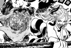 Lire le Manga One Piece Chapitre 1143 VF FR Scan: Le retour de Katana et des Filles !