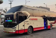 Kronologi PO Sembodo Berseteru Dengan Rian Mahendra, Kerugian Ditaksir Capai Rp 2M Berikut Rinciannya!