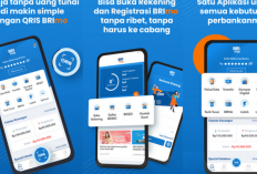 Cara Atasi Gagal Login di Brimo Padahal Data Sudah Benar Terbaru 2024, Gak Sampe 5 Menit Masalah Teratasi!