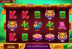Jam Hoki Room Panda Higgs Domino Hari Ini, Baru Diupdate 1 Menit yang Lalu, Siapkan dan Dapatkan JP Hingga 60B