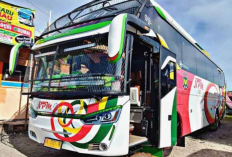 Jadwal dan Harga Tiket Bus NPM Padang ke Jambi PP Terbaru 2023
