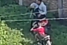 Link Video Viral Taman Semeru Probolinggo Full 3 Menit 20 Detik No Sensor Mediafire, Asik Mesum di Depan Anak