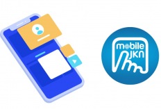 Penyebab Mobile JKN Error Hari Ini, Jangan Panik! Ini Dia Cara Atasi dan Cek BPJS Kesehatan