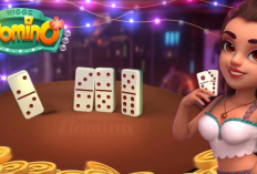 Kode Penukaran Domino Hari Ini 13 Desember 2023, Masih Aktif Update 1 Menit Lalu ! Klaim Sekarang Juga