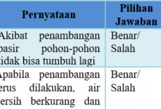 Contoh Soal Benar dan Salah Mata Pelajaran IPS (Ilmu Pengetahuan Sosial), Asah Kemampuan Kalian Disini