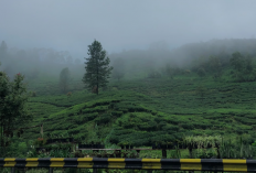 Wisata Puncak Bogor Ciloto, Kabupaten Cianjur, Jawa Barat: Tempat Healing Favorit dengan Spot Foto Unik dan Menarik