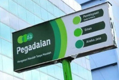 Open Recruitment PT Pegadaian April 2026: Cek Syarat Hingga Cara Pendaftarannya! 