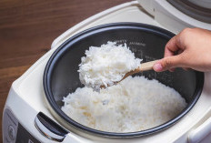 Jadwal Pembagian Rice Cooker Gratis Dari Pemerintah Terakhir 31 Oktober 2023, Buruan Daftar! 