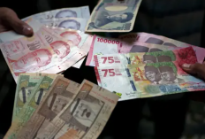 Apakah OVO Bisa Menerima Uang dari Luar Negeri? Pakai Cara Ini Agar Transaksi Lebih Lancar!