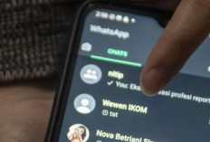 Download WA GB Terbaru April 2024 Anti Kadaluarsa GRATIS Full Fitur MOD Lihat Status dan Pesan Terhapus