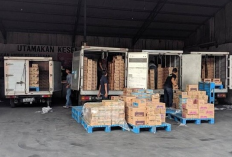Loker PT Mulia Kreasi Logistik Bulan Maret 2024, Cek Posisi yang di Butuhkan Lengkap dengan Syarat dan Ketentuan!