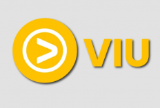 Download Viu Mod APK V.2.2.0 Terbaru 2024, Bisa Nonton Drakor Hingga Anime Kesukaan Tanpa Iklan dan Berlangganan!