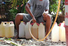 Syarat Menjadi Agen Minyak Tanah Pertamina Resmi, Usaha yang Jarang Dilirik Ternyata Punya Laba Menarik 