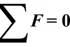 Hukum Newton 1: Pengertian, Bunyi, Rumus, dan Contoh Soal