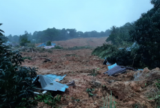 Korban Longsor di Natuna Yang Meninggal Dunia Semakin Bertambah, Proses Pencarian Korban Masih Terus Dilakukan