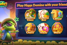 Gacor! Kode Penukaran Higgs Domino Island Hari Ini, 3 Desember 2023: Gratis Chip Hingga 120B
