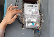 Mengenal PLN V2 Penghasil Uang Rilis 21 Februari 2024, Apakah Benar Membayar Atau Penipuan Belaka?