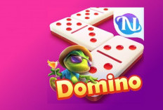 Download Mod Higgs Domino Apk Versi Lama Yang Bisa Kirim Chip Unlimited Money dan Tanpa Iklan