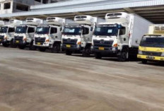 Info PT Internusa Mega Logistik (IML) Terkait Modus Penipuan, Apakah Benar? Bongkar Faktanya Berikut!