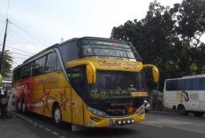 Jadwal dan Harga Tiket Bus Cahaya Bone Jurusan Makassar-Manado 2023, Cek Disini Sebelum Booking Buat Mudik Lebaran