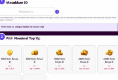 Top Up Chip Higgs Domino Island Melalui Codashop Bulan Januari Tahun 2024, Proses Singkat Cepat Kurang dari 1 Menit