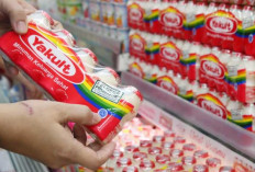 Minuman Prebiotik Yakult: Penjelasan, Kandungan, dan Manfaat
