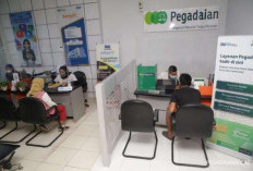 Tempat Gadai BPKB Motor Terdekat di Jogja Terbaru 2024, Buka Setiap Hari Penawaran Tinggi!