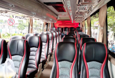 Download Denah Kursi Bus 30-33 Seats Excel Terbaru 2023, Bisa Langsung Diedit