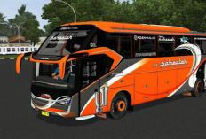 Download MOD BussID SR3 Single Glass Terbaru 2023 + Livery Gratis, Main Makin Seru!