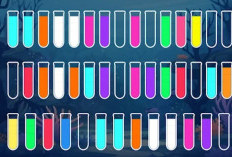 Aplikasi Water Sort Puzzle Penghasil Uang Penipuan? Begini Review Lengkapnya yang Wajib Kamu Tau 