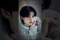 RILIS! Sinopsis Film Stray Kids Flix (2023) Diproduseri Bang Chan Kolaborasi dengan Han