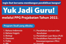 Kuota PPG Prajabatan 2023 Gelombang 3 dan List Bidang Studi yang Dibuka, Apakah Ada Jurusanmu?