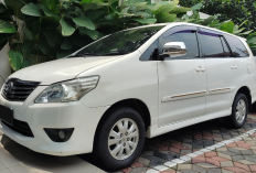 2 Rekomendasi Tempat Rental Mobil Sentani Jayapura Terbaik 2023, Bisa Lepas Kunci Juga Lho!