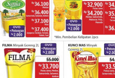 PROMO JSM Alfamart Alfamidi 7-11 Februari 2024 Diskon Minyak Goreng - Susu Anak: Cek Katalog di Sini 