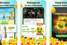 Aplikasi Gogo Cash 2024 Terbaru Apakah Terbukti Membayar? Ternyata Begini Cara Kerjanya!