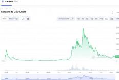 Prediksi Harga Cardano Bulan Januari 2024, Apakah ADA Mampu Alami Kenaikan?