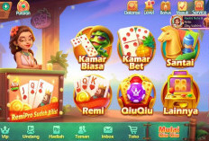 Apakah Tombol Kirim Domino Akan Kembali atau Dihapus Permanen? Perhatikan Lagi Kata-Kata Leon