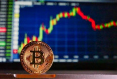 Aplikasi dan Platform Trading Crypto Terbaik di Dunia, Cocok Untuk Pemula!