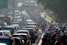 Syarat dan Cara Daftar Mudik Gratis Dishub Jatim Lebaran 2024, Solusi Perjalanan Aman dan Nyaman