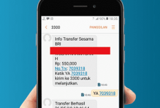 Penyebab Notifikasi SMS Banking BRI Tidak Masuk dan Gagal Proses, Cari Tahu Disini Yuk!