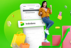 Layanan Pinjol Indodana VS Kredivo Cek Perbandingan Biaya dan Bunga, Mending Mana