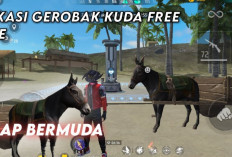 Daftar Lokasi Tempat Kuda di FF Semua Map Bisa Dapat SG2 Gratis Tanpa Baku Hantam