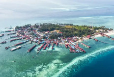 Fakta Unik Pulau Kalimantan yang Dibagi Untuk 3 Negara, Bakal Jadi Daerah Pemekaran Dengan 6 Provinsi Baru 