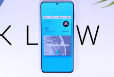 Download KLWP Live Wallpaper Maker Pro APK Versi Terbaru 2024, Ratusan Koleksi Wallpaper Bisa Langsung Kamu Pakai!
